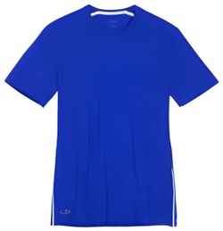 Icebreaker Anatomica Short Sleeve Crew Icebreaker Anatomica Short Sleeve Crew