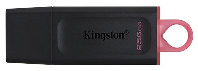 Kingston DataTraveler Exodia 256GB Kingston DataTraveler Exodia 256GB