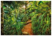 Komar Photo wallpaper Jungle Trail 8-989 Komar Photo wallpaper Jungle Trail 8-989