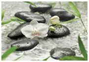 Komar Photo wallpaper Pure 8-319 Komar Photo wallpaper Pure 8-319