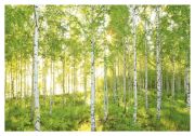 Komar Photo wallpaper Sunday 8-519 Komar Photo wallpaper Sunday 8-519