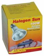 Lucky Reptile Halogen lamp 100 W Lucky Reptile Halogen lamp 100 W