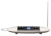 Moog Theremini Moog Theremini