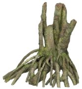 Nobby Aqua Ornaments Root (28324) Nobby Aqua Ornaments Root (28324)
