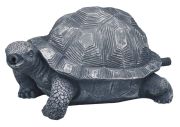 Oase Water Spout Turtle Oase Water Spout Turtle