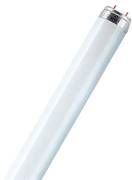 Osram Colored T8 L 36 W/60 FLH1 G13 Osram Colored T8 L 36 W/60 FLH1 G13