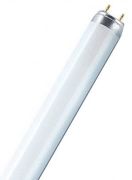 Osram Colored T8 L 36 W/62 FLH1 G13 Osram Colored T8 L 36 W/62 FLH1 G13
