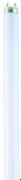 Osram Colored T8 L 36 W/67 FLH1 G13 Osram Colored T8 L 36 W/67 FLH1 G13