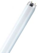 Osram Colored T8 L 58 W/66 FLH1 G13 Osram Colored T8 L 58 W/66 FLH1 G13
