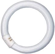 Ledvance Lumilux T9 C Circular Fluorescent Lamp 22 W/765 C G10Q FLH1 Ledvance Lumilux T9 C Circular Fluorescent Lamp 22 W/765 C G10Q FLH1