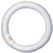 Ledvance Lumilux T9 C Circular Tube L 22 W/827 C G10Q FLH1 Ledvance Lumilux T9 C Circular Tube L 22 W/827 C G10Q FLH1