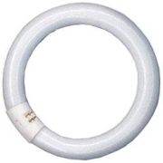 Ledvance Lumilux T9 C Circular Tube L 32 W/827 C G10Q FLH1 Ledvance Lumilux T9 C Circular Tube L 32 W/827 C G10Q FLH1