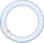 Ledvance Lumilux T9 C Circular Fluorescent Lamp 40 W/640 C G10Q FLH1 Ledvance Lumilux T9 C Circular Fluorescent Lamp 40 W/640 C G10Q FLH1