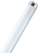 Osram Natura T8 L 36 W/76 FLH1 G13 Osram Natura T8 L 36 W/76 FLH1 G13