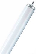 Osram XL version T12 L 20 W/640 FLH1 FA6 Osram XL version T12 L 20 W/640 FLH1 FA6