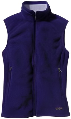 Patagonia Synchilla Vest Patagonia Synchilla Vest