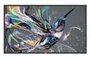 Philips 55BDL3511Q Philips 55BDL3511Q