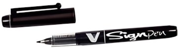 Pilot SW-VSP Pilot SW-VSP