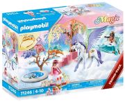 Playmobil Magic picnic with Pegasus carriage (71246) Playmobil Magic picnic with Pegasus carriage (71246)
