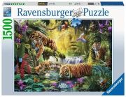 Ravensburger Idyll at the Waterhole Ravensburger Idyll at the Waterhole