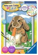 Ravensburger Paint by Numbers Cuddly Bunny Ravensburger Paint by Numbers Cuddly Bunny