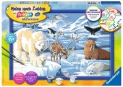 Ravensburger Paint by Numbers Arctic Animals Ravensburger Paint by Numbers Arctic Animals