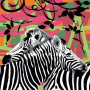Ravensburger Zebra Ravensburger Zebra