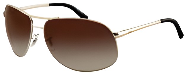 Ray Ban RB3387 Ray Ban RB3387