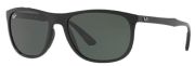 Ray Ban RB4291 Ray Ban RB4291