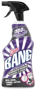Cillit Bang Mold and Hygiene Cillit Bang Mold and Hygiene