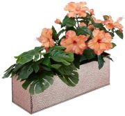 Relaxdays Indoor flower box (10027000) Relaxdays Indoor flower box (10027000)