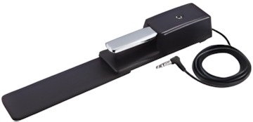 Roland DP-10 Roland DP-10