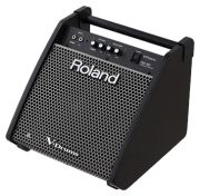 Roland PM-100 Roland PM-100