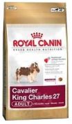 Royal Canin Cavalier King Charles Adult 1.5 kg Royal Canin Cavalier King Charles Adult 1.5 kg