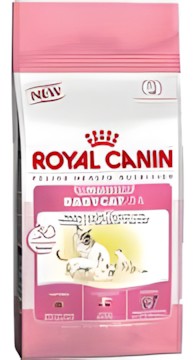 Royal Canin Babycat 34 2 kg Royal Canin Babycat 34 2 kg