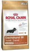 Royal Canin Dachshund Junior 1.5 kg Royal Canin Dachshund Junior 1.5 kg