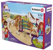 Schleich Lisa's Tournament Training (42433) Schleich Lisa's Tournament Training (42433)