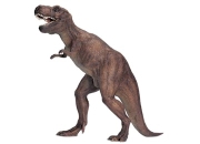 Schleich Dinosaur Tyrannosaurus Rex (14525) Schleich Dinosaur Tyrannosaurus Rex (14525)