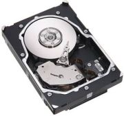 Seagate Cheetah 15K.6 146GB (ST3146356SS) Seagate Cheetah 15K.6 146GB (ST3146356SS)