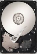 Seagate Barracuda 7200.12 1TB (ST31000524AS) Seagate Barracuda 7200.12 1TB (ST31000524AS)