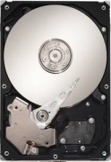 Seagate BarraCuda 7200.12 1TB (ST31000528AS) Seagate BarraCuda 7200.12 1TB (ST31000528AS)