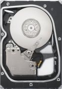 Seagate Cheetah NS 400GB (ST3400755SS) Seagate Cheetah NS 400GB (ST3400755SS)