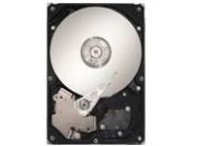 Seagate DB35 80GB (ST380215SCE) Seagate DB35 80GB (ST380215SCE)