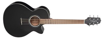 Takamine GF30CE Takamine GF30CE