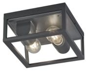 Trio Garonne Ceiling Light (601860242) Trio Garonne Ceiling Light (601860242)