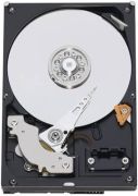 Western Digital Caviar Green 1TB (WD10EADS) Western Digital Caviar Green 1TB (WD10EADS)