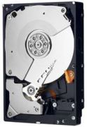 Western Digital WD Blue 250GB (WD2500AAKX) Western Digital WD Blue 250GB (WD2500AAKX)