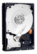 Western Digital Laptop Mainstream 1TB (WDBMYH0010BNC) Western Digital Laptop Mainstream 1TB (WDBMYH0010BNC)
