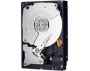 Western Digital RE4 250GB (WD2503ABYX) Western Digital RE4 250GB (WD2503ABYX)