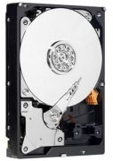 Western Digital WD AV-25 500GB (WD5000LUCT) Western Digital WD AV-25 500GB (WD5000LUCT)